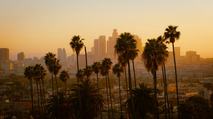 Palm trees silhouetted against the Los Angeles skyline during the golden hour